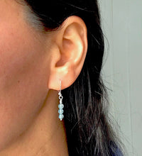 Load image into Gallery viewer, Small Dangle Earrings with Agate