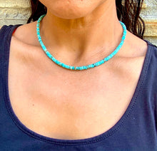 Load image into Gallery viewer, Sea Sediment Jasper